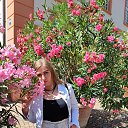 ���� ����, ��������� - ��������� 4 ������ 2026 � ������ ���� ����������