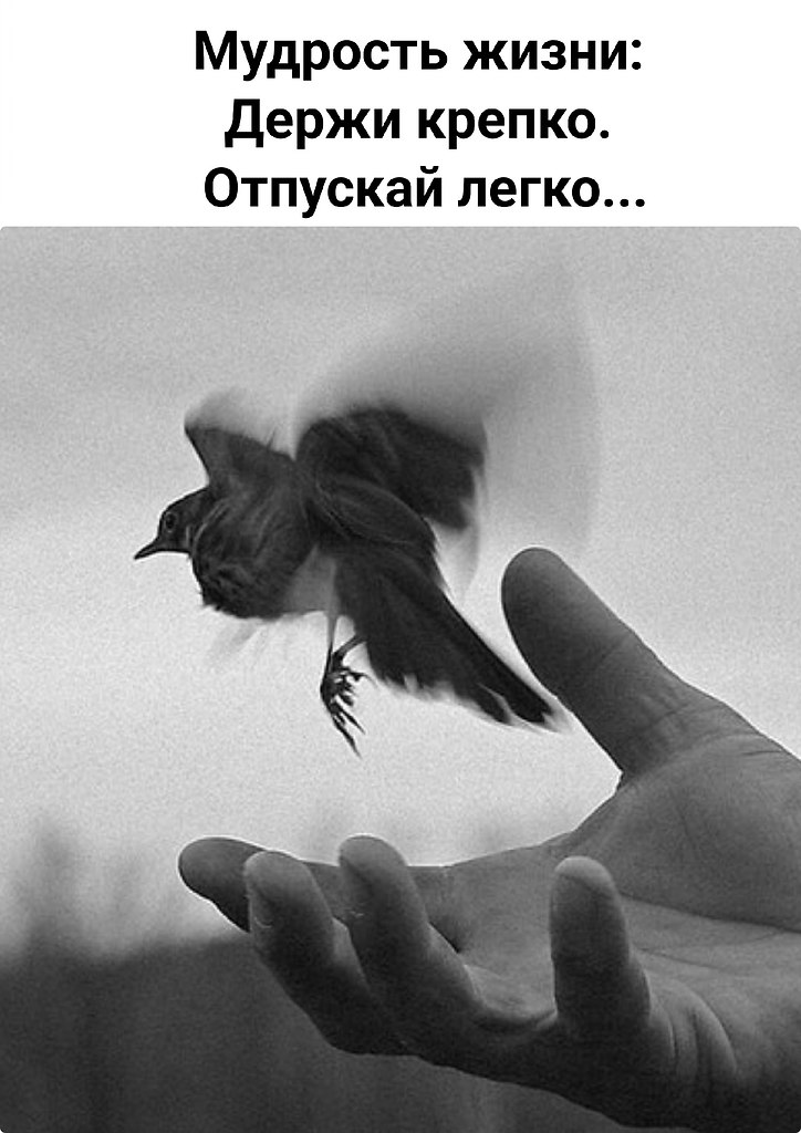 �������� ������� - 6 ����� 2026 � 00:03