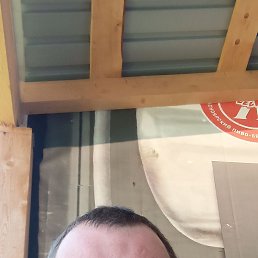 ����, 37 ���, ����������