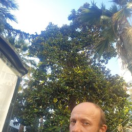Vit, 35, 