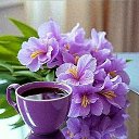 ���� ����, ��������, 63 ���� - ��������� 14 ������ 2026 � ������ ������ ��������