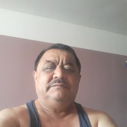 , 51, 
