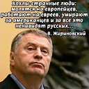 ���� ����, ��������, 63 ���� - ��������� 14 ������ 2026 � ������ ������ ��������