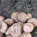 ���� ���������, ������, 70 ��� - ��������� 30 ������� 2024 � ������ ���� ����������