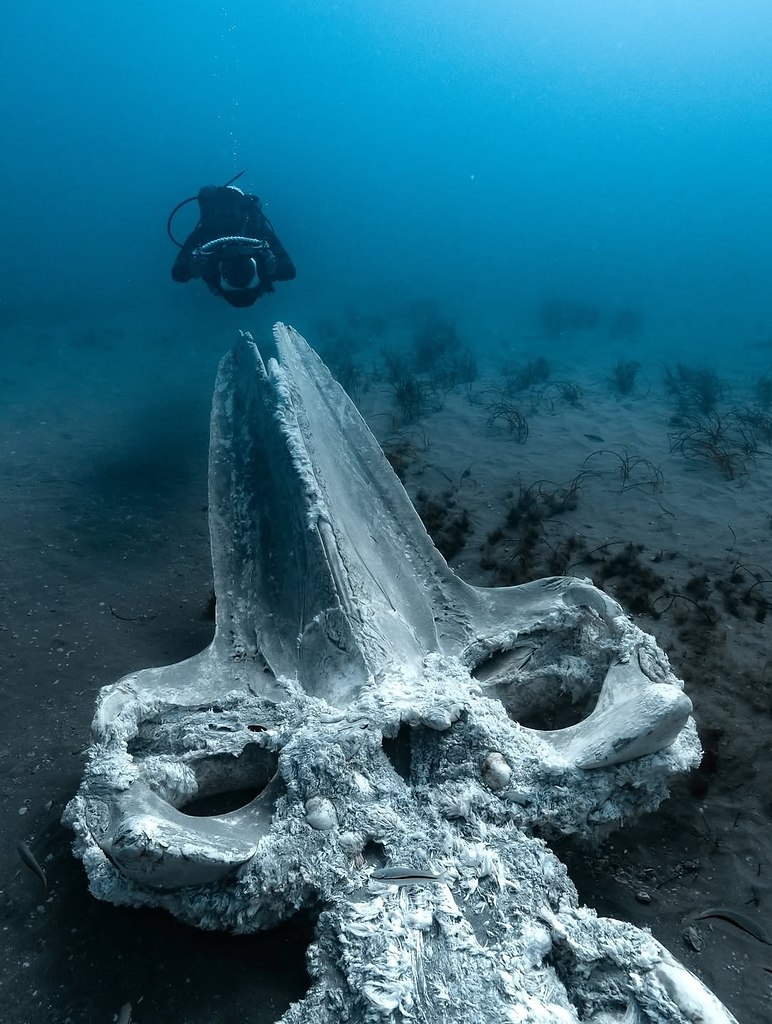  :    .       .   ... - 4