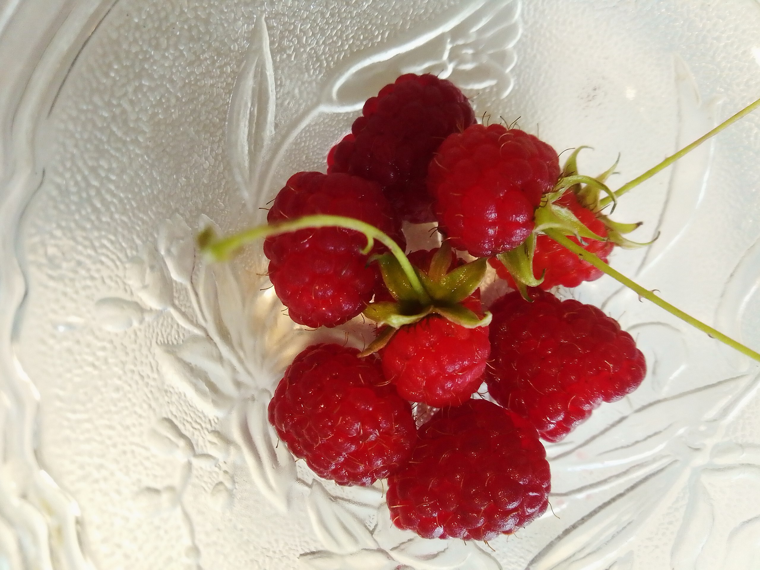 Елена - 14 октября 2025 в 20:13