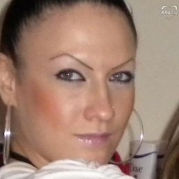 ���������, ���������, 23 ����