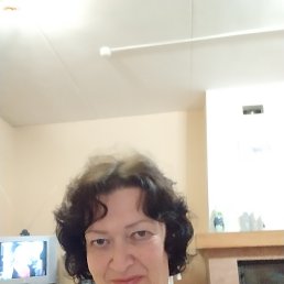 , 54, 