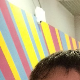 ����, �����������, 44 ����