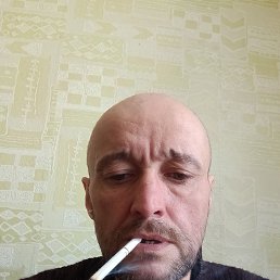 ������, 47 ���, ���������