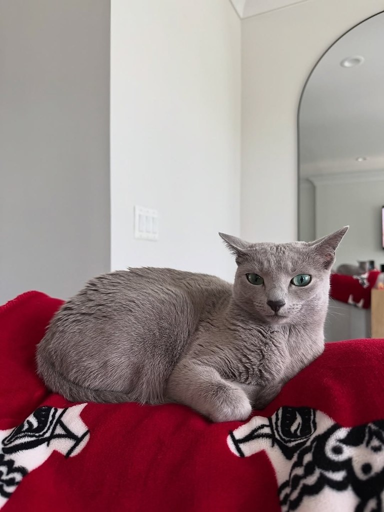  .    ,      .,  ,    ... - 5