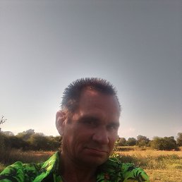 ���� ������, ���������, 47 ��� - ��������� 24 ������� 2026