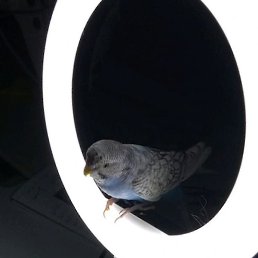 ��, ������, 20 ���