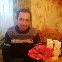 , 44, 