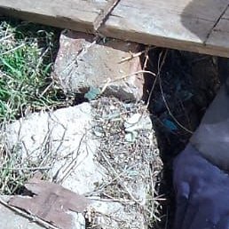 ����, ���������, 45 ���