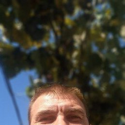 ������, 41 ���, ������