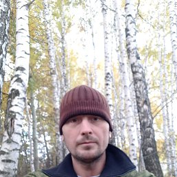 , 41, 