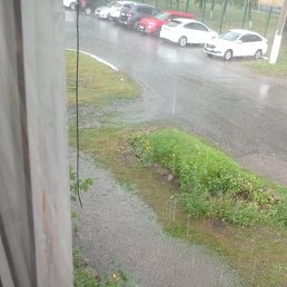 ���� ������� �������, ���������, 41 ��� - ��������� 17 ������� 2024