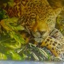 ���� ����, �����������, 33 ���� - ��������� 14 ������ 2024 � ������ ���� ����������