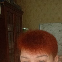 , 54, 