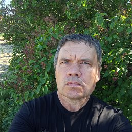 , 44, 