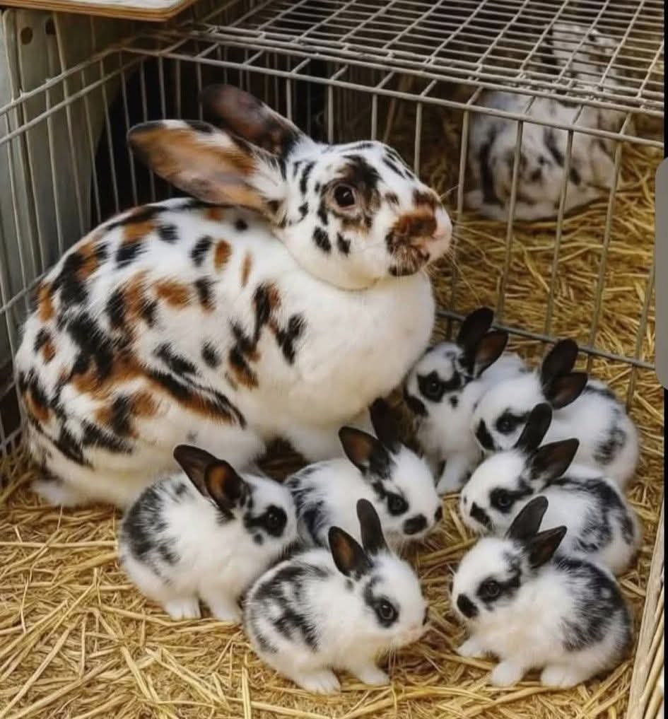 :)