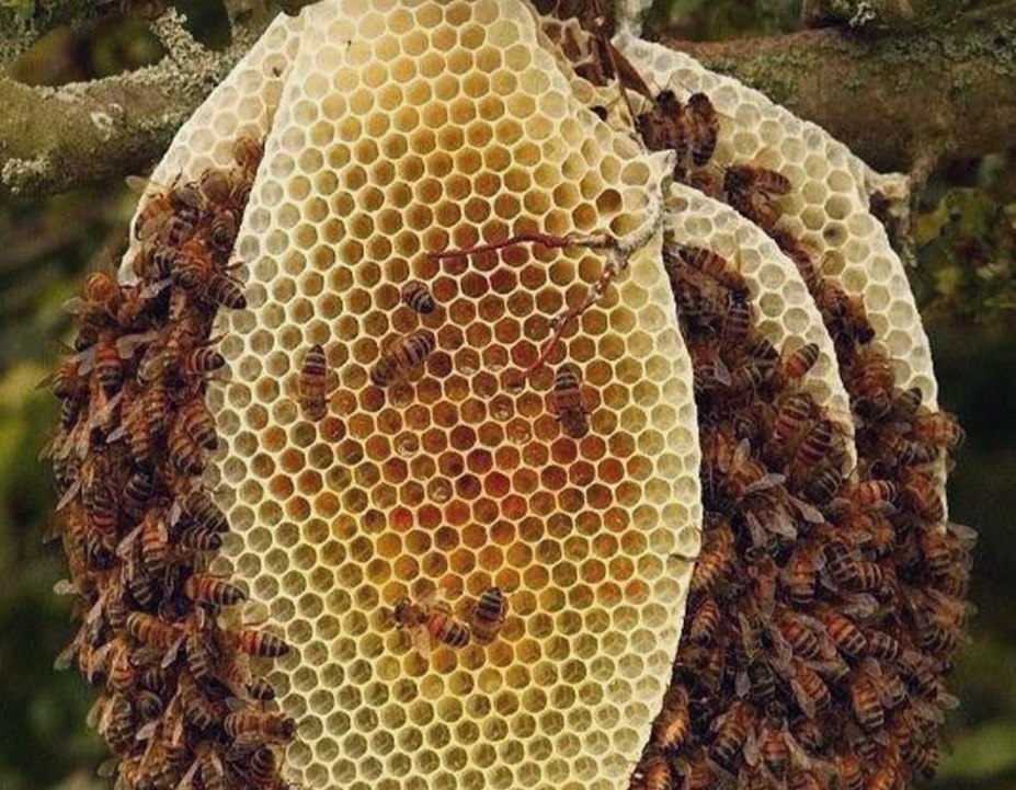   ,    ,    ,   ,   ... - 3