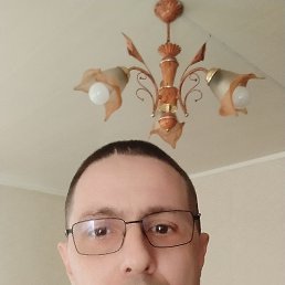 ���� ����, ���������, 49 ��� - ��������� 5 ������ 2026