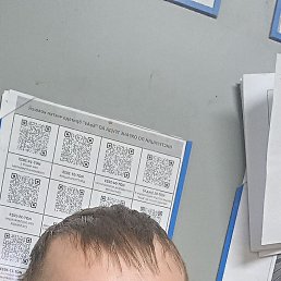 , 36, 