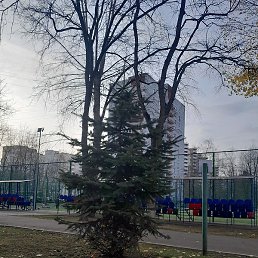 �����, ������, 29 ���