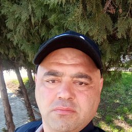 , 40, 