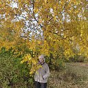 ���� �����, �����-��������� - ��������� 20 ������� 2025 � ������ ���� ����������