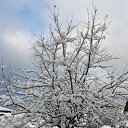 ������� 2023 ��� �� ������� ������ ��������