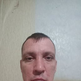 ������, 39 ���, ���������