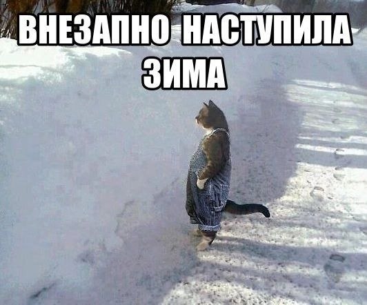  , .   ,      -2, -4 C, ...