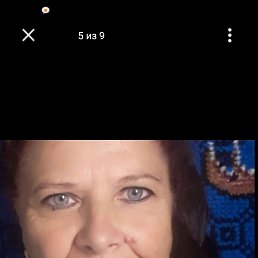 , 61, 
