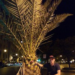 ������, �����-���������, 40 ���