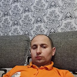 , 37, 