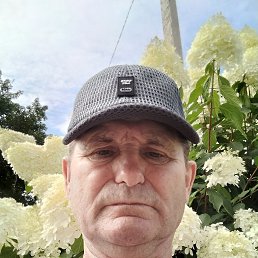 �������, 65 ���, �����������