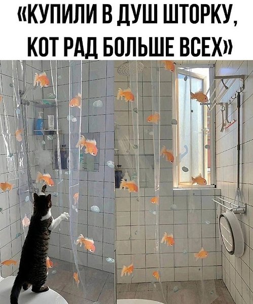 ? ,  ! - 12  2025  22:53