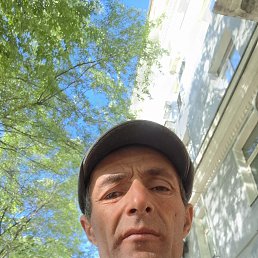, 44 , 