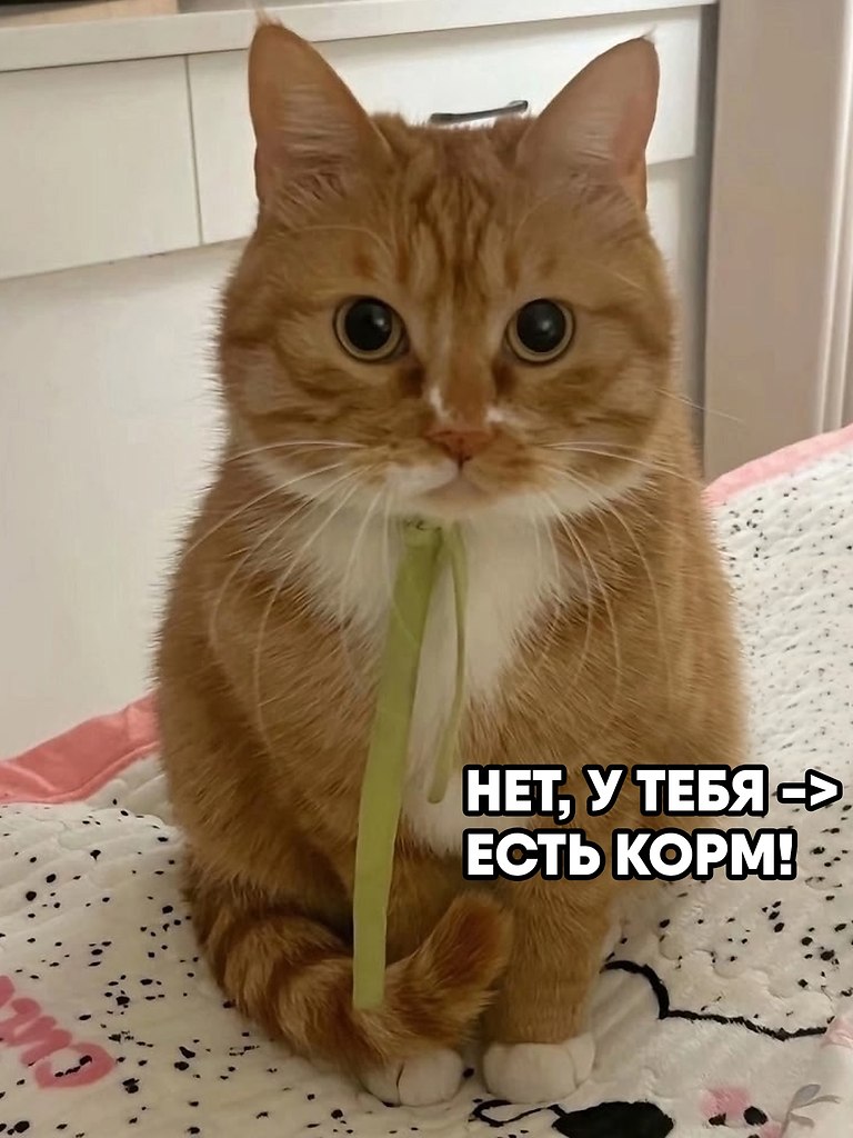        .    ,   ... - 2
