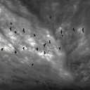 ���� ��������, ������, 28 ��� - ��������� 22 ������ 2023 � ������ ���� ����������