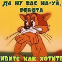 ���� ���������, ����������, 68 ��� - ��������� 30 ������� 2025 � ������ ���� ����������