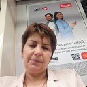 ���� �����, ������, 55 ��� - ��������� 1 ������ 2023 � ������ ���� ����������