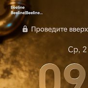 �����, 29 ���, ������