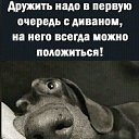 ���� Westinale, ����������, 53 ���� - ��������� 10 ������ 2024