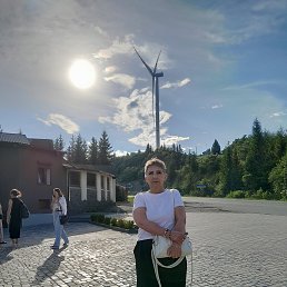 , 65, 