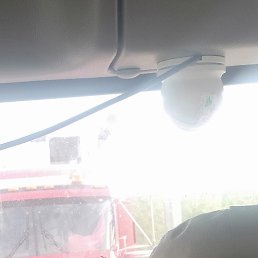 ���� �����, ������, 33 ���� - ��������� 13 ������ 2024