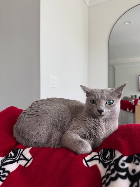  .    ,      .,  ,    ... - 5